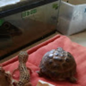 Meet your Posher, Benjamin